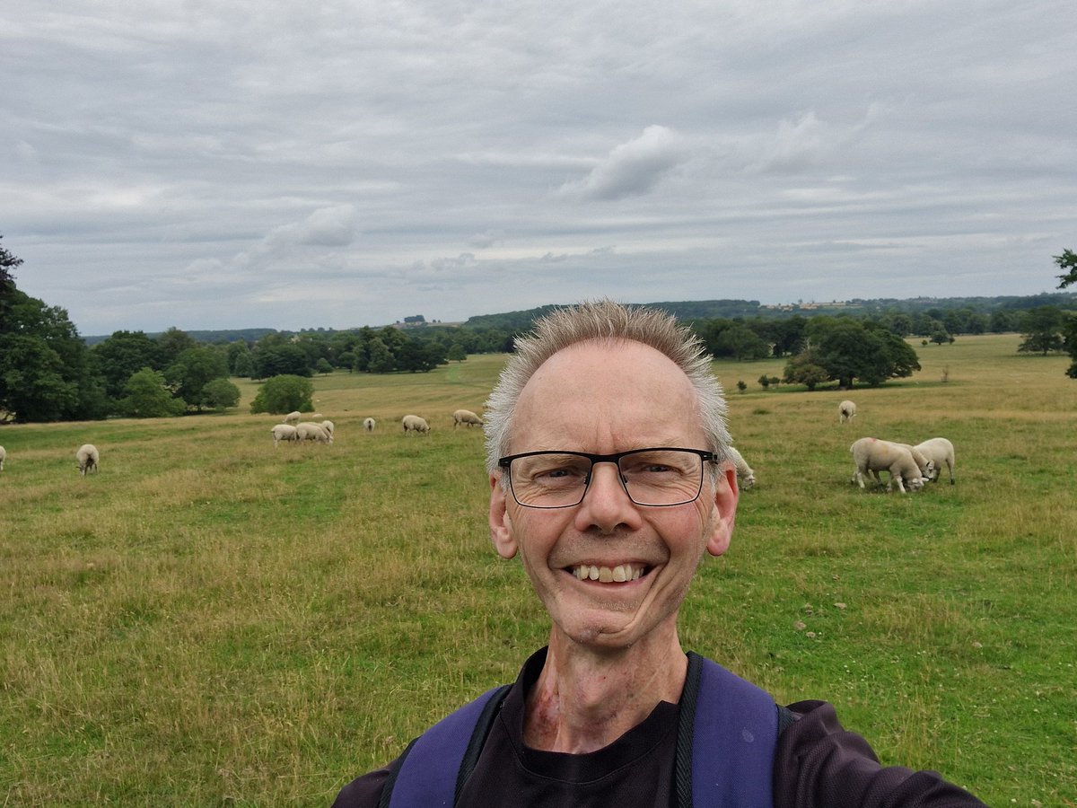 Your mindset is the crow’s nest scanning the horizon spotting positives long before anyone else sees them. Optimism ahoy!