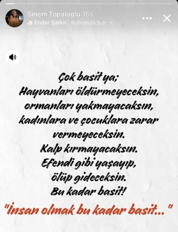 Resim