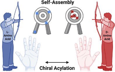 Babis Pappas (@pappas_babis) on Twitter photo We are happy to share that our article on chirality-driven non-equilibrium assembly is now published in <a href="/angew_chem/">Angewandte Chemie</a> ! 🎉Congrats to Lenard and Kun for showing how left and right handed aminoacyl phosphates enable control over kinetics and pathways. onlinelibrary.wiley.com/doi/10.1002/an… We are happy to share that our article on chirality-driven non-equilibrium assembly is now published in <a href="/angew_chem/">Angewandte Chemie</a> ! 🎉Congrats to Lenard and Kun for showing how left and right handed aminoacyl phosphates enable control over kinetics and pathways. onlinelibrary.wiley.com/doi/10.1002/an…