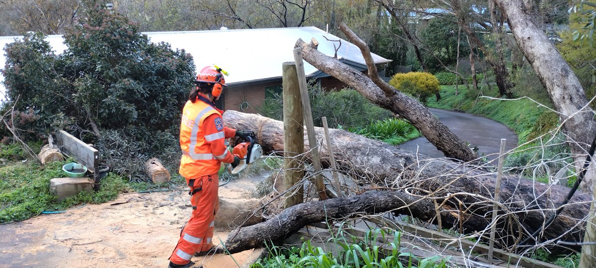 Now these are some trees🌳down—check out these photos! 

The weather this past weekend kept our volunteers busy: 160+ requests for assistance, 90+ related to trees down 

Thank you to our volunteers for their ongoing commitment &amp; dedication to communities across SA