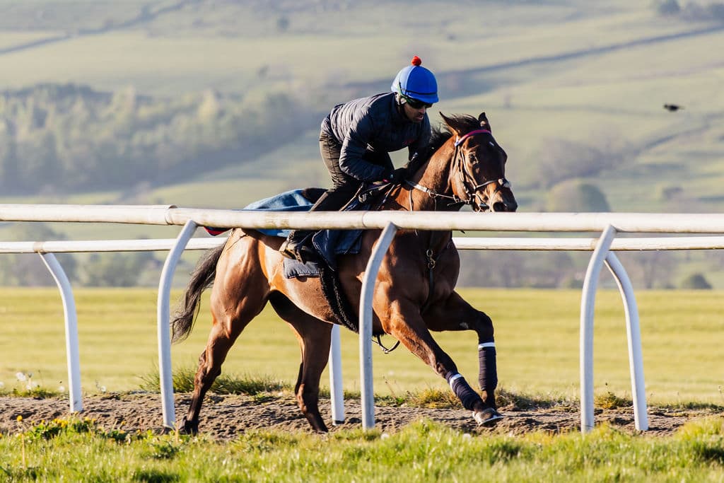 1 runner today in the 5.07 <a href="/NewcastleRaces/">Newcastle Racecourse</a> our <a href="/RuthCarr1/">Ruth Carr Racing Ltd</a> trained INVITORIO &amp; <a href="/connorbeasley9/">Connor Beasley</a> takes the ride.

Good Luck To All Connections🤞🤞🤞🏇🏇🏇

#fingerscrossed <a href="/RSAsyndicates/">The Racehorse Syndicates Association</a> <a href="/GParkRacing1/">Grange Park Racing</a> #racehorseownership #syndicates #horseracing #sports