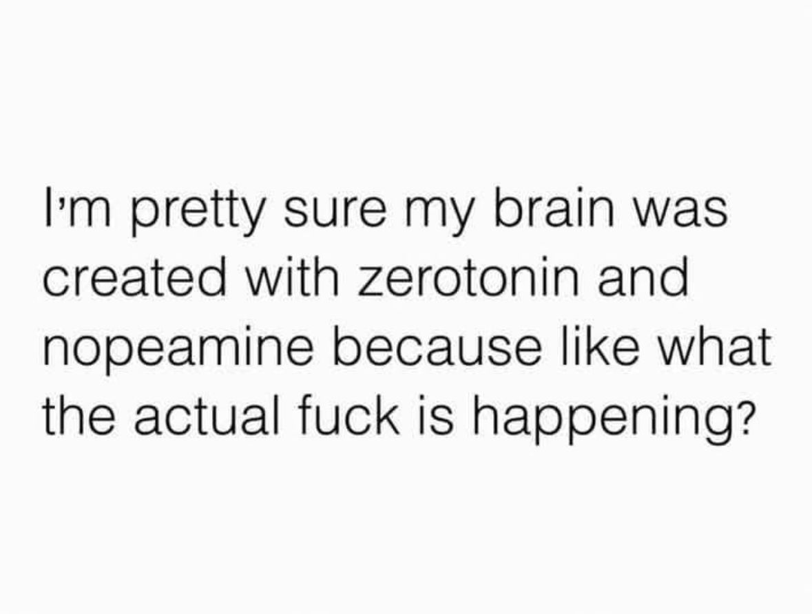 ADHDForReal's tweet image. 