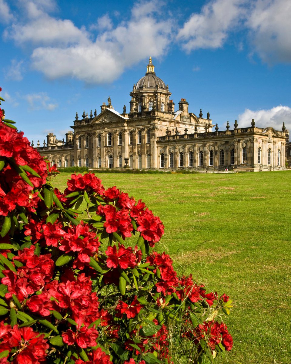 Harrowells (@harrowells) on Twitter photo 🌼 Happy Yorkshire Day!
From York to Thirsk, Malton to Pocklington, we’re proud to serve the people and businesses of this incredible county.
📸 <a href="/VisitYork/">✨ Visit York ✨</a> @YorkMinsterOfficial <a href="/NorthYorkMoors/">North York Moors NP</a> @BurnbyHallGardens @Castle_Howard 🌼 Happy Yorkshire Day!
From York to Thirsk, Malton to Pocklington, we’re proud to serve the people and businesses of this incredible county.
📸 <a href="/VisitYork/">✨ Visit York ✨</a> @YorkMinsterOfficial <a href="/NorthYorkMoors/">North York Moors NP</a> @BurnbyHallGardens @Castle_Howard
