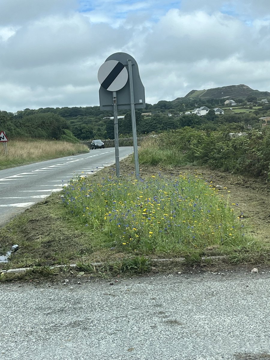 When the grass cutting team get it right #wildflowers ⁦<a href="/IMERYS_UKHKP/">Imerys UKKP</a>⁩