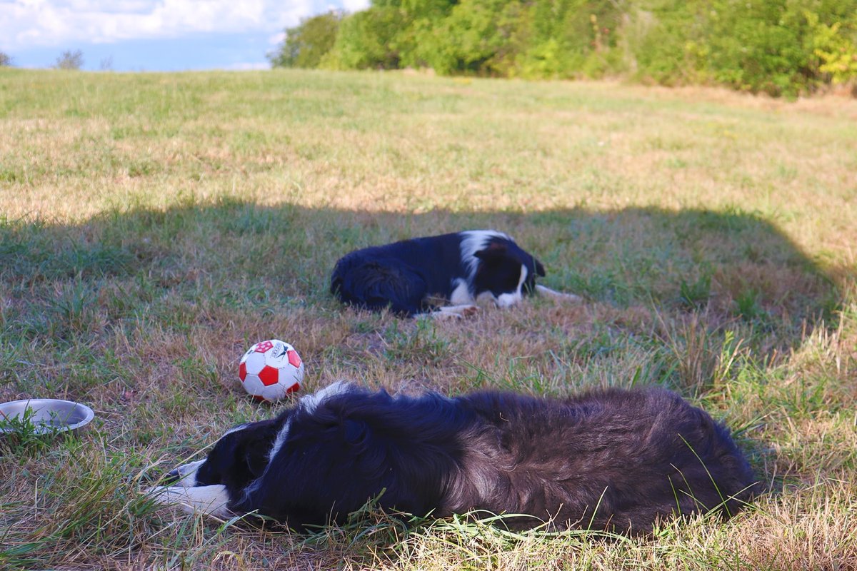 Walking WWI ...

( Meurthe et Moselle - Montreux ).