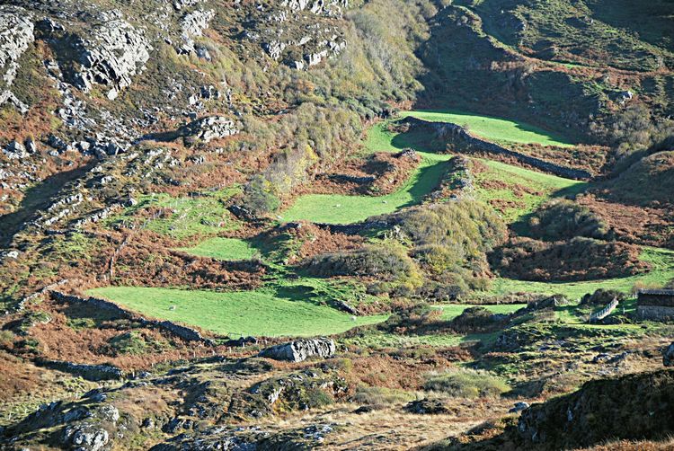 WeLoveDonegal tweet media