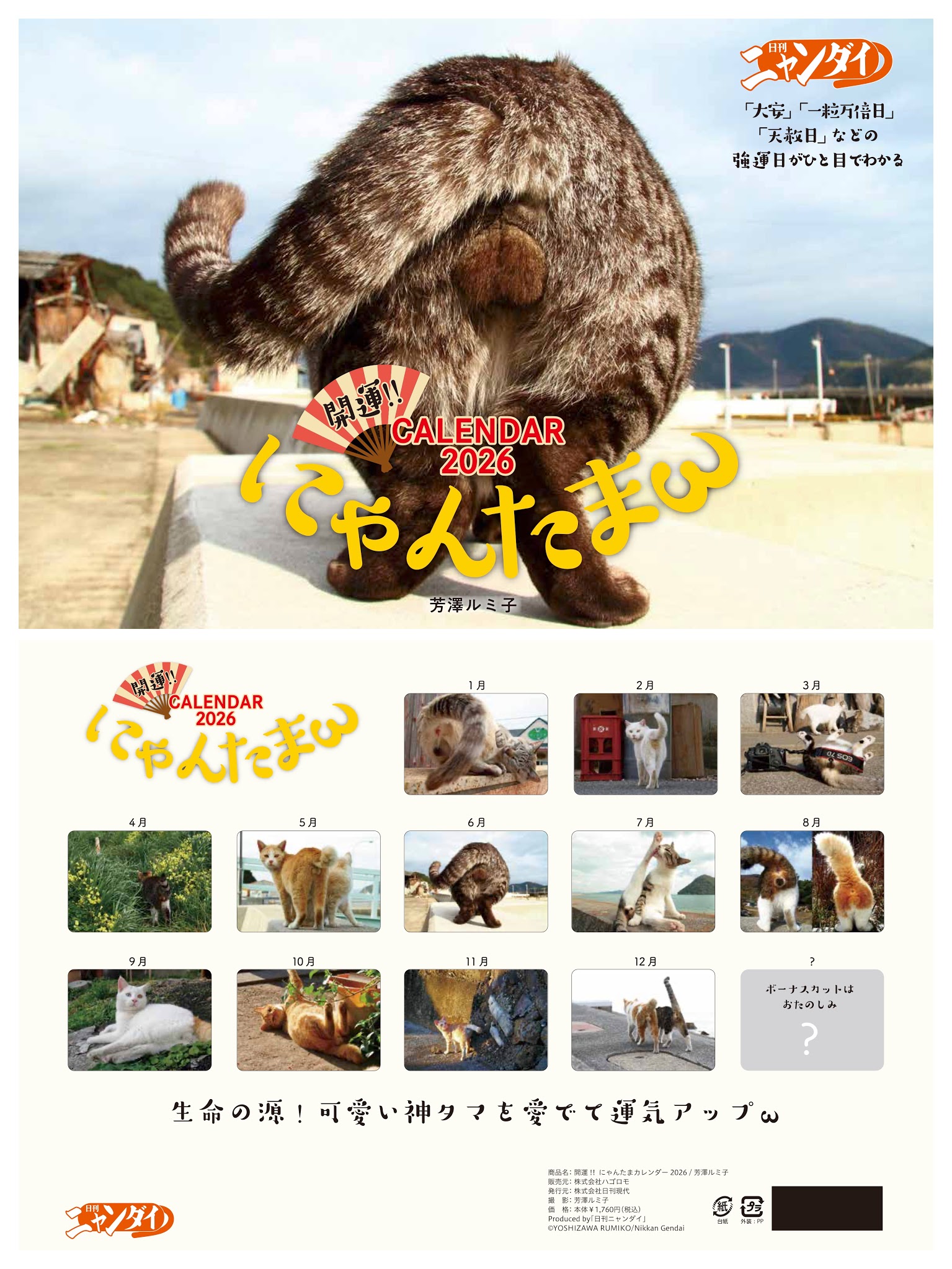 ︎山本 正義 (Masayoshi Yamamoto)立ち猫®︎ (@nekoiroiro) / X