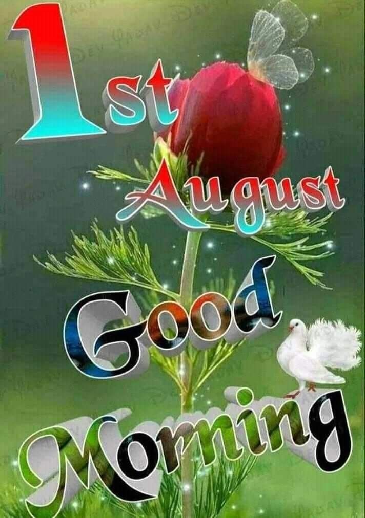 <a href="/TaposKumarBasu/">⭐✳️🇮🇳तापोस🇮🇳✳️⭐</a> <a href="/Guyatt671/">Nightman......</a> <a href="/BhagwantBirdi/">Bhagwant 512</a> <a href="/1mraught/">1mraught</a> <a href="/TopogigioRini/">Rini van Son</a> <a href="/Eagleeye47/">🌴 Eagle Eye 🌴</a> <a href="/BavejaH/">H.C.Baveja</a> <a href="/szentandrassym/">🌞 Sophie S 🌴</a> <a href="/scouse_kim/">scouse kim</a> <a href="/DerekPa30582481/">Derek Paterson</a> <a href="/sheriran95/">sheer_iran</a> <a href="/TeresaR86980558/">Teresa Roberts</a> <a href="/shinunao2/">naonao shakura🌸🌸🌸</a> <a href="/LOVEKISSNOW009/">LOVE 🍒 TREE</a> <a href="/BeatriceLacy/">Beatrice Lacy</a> <a href="/ClockworkHamma/">Clockwork Hamma</a> <a href="/89BrownSugar/">WILL MA</a> <a href="/1hTkMJaMalfwQZS/">前田十九一</a> <a href="/fryld/">Fryl dnc</a> <a href="/pelisoro/">Baba Je🦅🧙‍♀️🌌😎</a> <a href="/LindaLeeKing/">Linda Lee King</a> <a href="/drnkumaribbu/">PROF. KUMAR, N.</a> <a href="/HumbleIndian/">Vivek Hindustani</a> <a href="/Cathhewat123/">🌺 CATHY 🌺</a> <a href="/VibuMarina_2/">🌹✿MARINA✿🌹</a> <a href="/1redroc/">𝕽𝖊𝖉𝖗𝖔𝖈𝖐</a> <a href="/MalibuGal66/">BabaLouie's House, And it's a Squirrel House!</a> <a href="/PatGrant7777/">✨Star Bright ✨</a> <a href="/WALLI27/">Jhon f perez🎶🎸🚵☯</a> <a href="/PolishRoyalGoat/">Ana and her Goat</a> <a href="/CarolynNewsom/">Carolyn Newsom</a> <a href="/victoria_victo3/">victoria</a> <a href="/tadayokun73/">🍃🌛EzDo.ONE🚩🍃 ◽◻⬜￤￤🌺</a> <a href="/RUL_for_friends/">RUL for the friends 👍🏼💋💖</a> <a href="/skp__2016/">SKP</a> <a href="/eshahan345/">Esha💕💕Khan💕💕</a> <a href="/19marino74/">Marino Lo Chiatto</a> <a href="/SkwarekZbigniew/">Zbigniew Skwarek</a> <a href="/48114c6687d84f7/">naser omer</a> <a href="/LevykinV/">Левыкин Вячеслав</a> <a href="/marinavibu609g/">🌻MARINA🌻</a> <a href="/Jimmysimmonds1/">Jimmy Simmonds</a> <a href="/ZahiraTihare/">♛Zahira ♛</a> <a href="/Sthella_Khaty/">🌹 Sthella🌹</a> <a href="/663Renegade/">Anna</a> <a href="/maryrhoton/">Motormouth 2</a> <a href="/sherrig108/">Sherri</a> <a href="/Jilliemary/">Jillian Peeling</a> <a href="/marvil296/">Marvil</a> <a href="/ghoomhaikahi/">Sandeep Gupta 🙏</a>