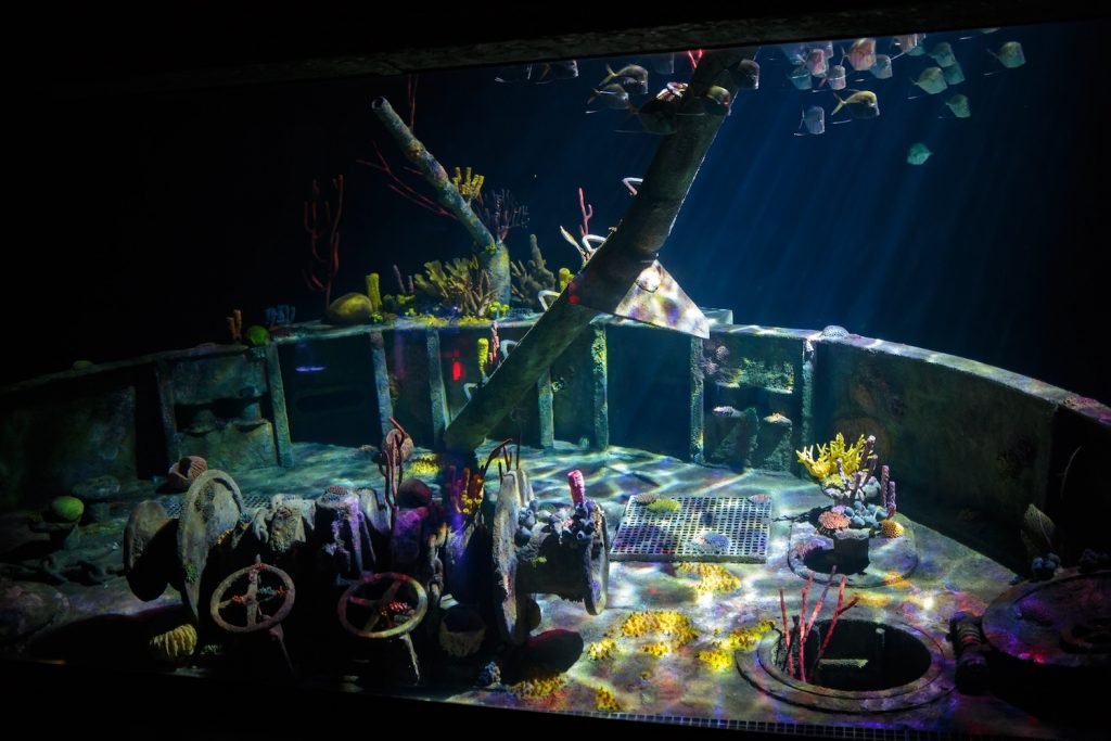 The Deep opens new habitat, The Wreck hullisthis.news/the-deep-opens… <a href="/TheDeepHull/">The Deep</a> <a href="/hullisthis/">Hull Is This</a>