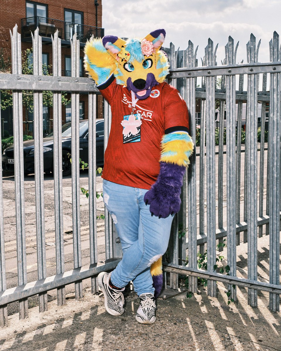 🌸💛Blazen💜🌸 🔜 CFz#787 (@blazentigerfolf) on Twitter photo A Happy #FursuitFriday to all from the Berkshire TigerFolf! Speaking of, I’m mega excited to be heading to the <a href="/BerkshireFurs/">BerkshireFurs</a> Summer Party on Sunday! It’s always such a fun meet and I love an excuse to visit my hometown more too! 🙌🏼
📸: <a href="/BrandyTheWuff/">🐾 Brandy 🐾</a>
🪡: <a href="/HouseOfCardsFur/">♠️ House Of Cards Fursuits ♠️</a> A Happy #FursuitFriday to all from the Berkshire TigerFolf! Speaking of, I’m mega excited to be heading to the <a href="/BerkshireFurs/">BerkshireFurs</a> Summer Party on Sunday! It’s always such a fun meet and I love an excuse to visit my hometown more too! 🙌🏼
📸: <a href="/BrandyTheWuff/">🐾 Brandy 🐾</a>
🪡: <a href="/HouseOfCardsFur/">♠️ House Of Cards Fursuits ♠️</a>