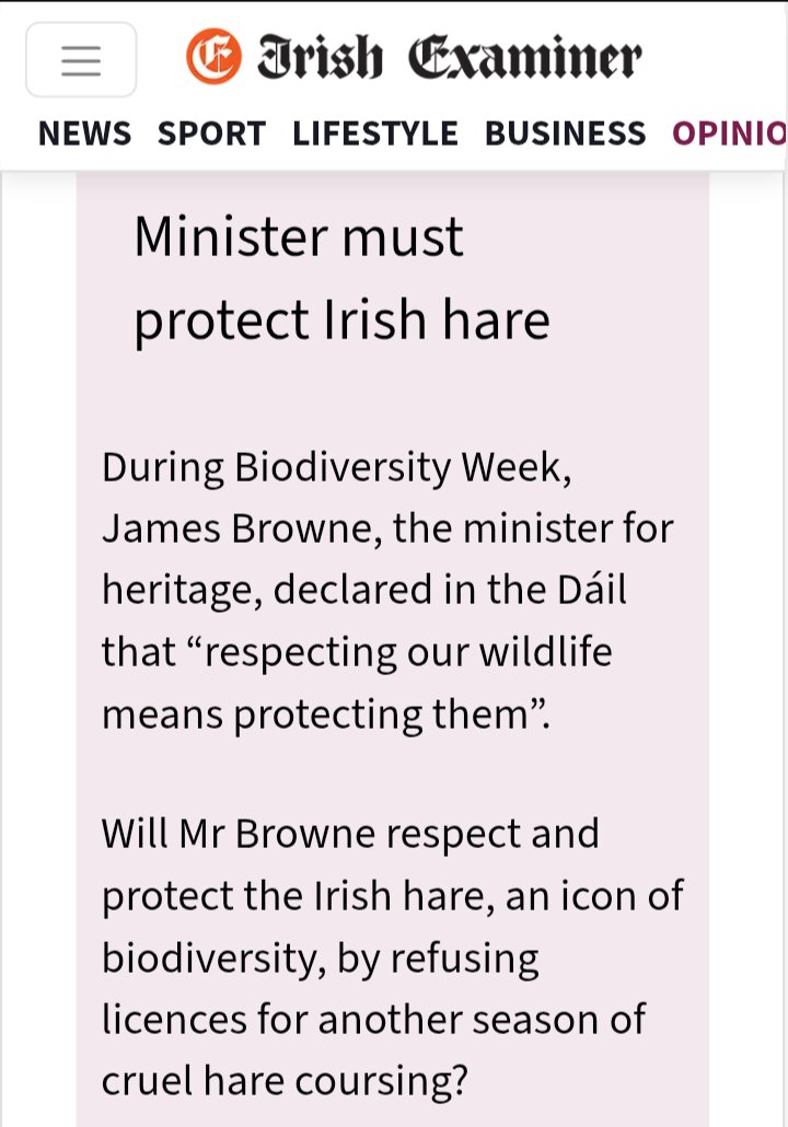 banbloodsports's tweet image. During Biodiversity Week, James Browne, the minister for heritage, declared in the Dáil that “respecting our wildlife means protecting them”. Will he respect and protect the Irish hare by refusing licences for another season of cruel hare coursing? irishexaminer.com/opinion/yourvi…