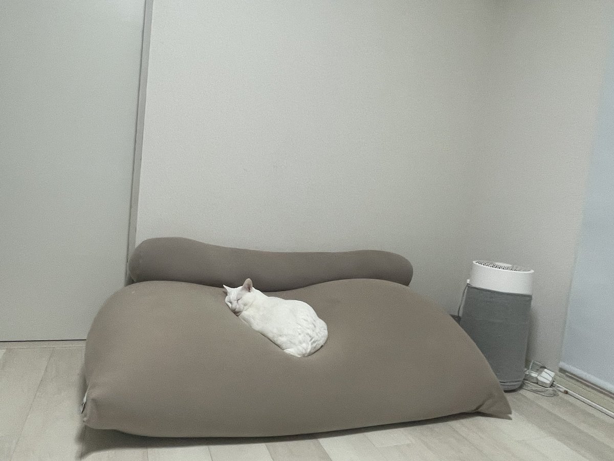 watake_6's tweet photo. 休日☕️ https://t.co/sMUn1PlZT2