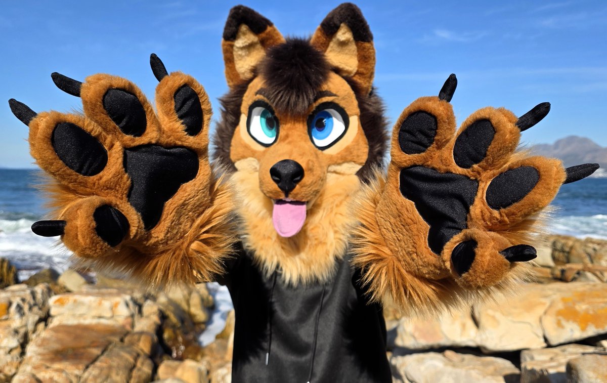 KodaWolf_IRL tweet media