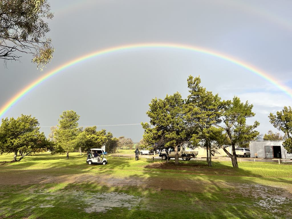 Agfert Fertilizers tweet media