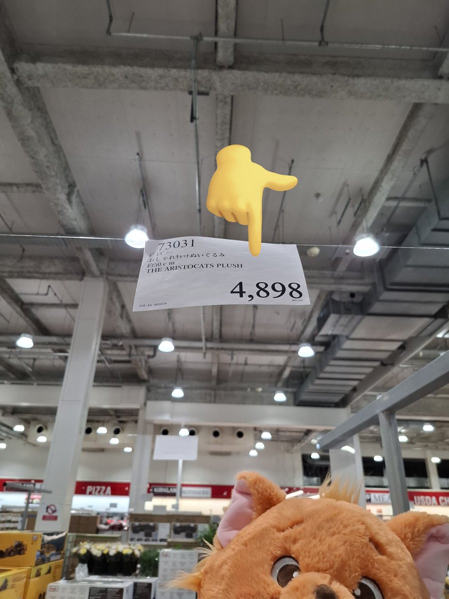 えええええ？！？！ ベルリオーズ欲しすぎる。 安すぎやろ。バグってる