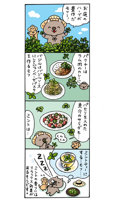 4コマ漫画「ハーブのごちそう」
食いしん坊のウォンバットさんのお庭ではハーブが豊作のようです🌿
#SNSマンガ大賞 
#8月2日はハーブの日 