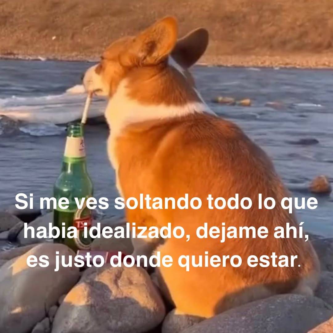 bauldefrases (@suspirxsalaire) on Twitter photo 