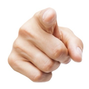 splanything's tweet image. Mr. Grizz is in boxes and being shipped to YOUR house!