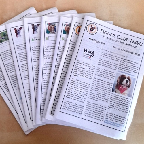 Tigger Club Newspaper:
By Animals - For Animals

August's issue has been published !
Read it FREE here:
tigger.club/newspaper/4123…

#TiggerClubNews #ByAnimalsForAnimals  #newspaper