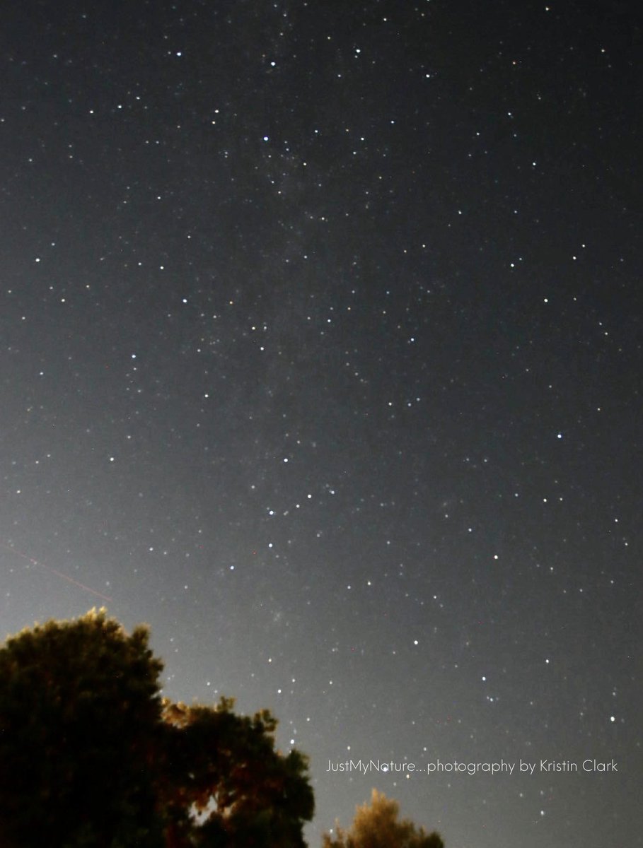More possible #perseids meteors from Hampton Cove AL Sunday. <a href="/spann/">James Spann</a> <a href="/DanielleDozier/">Danielle Dozier News 19</a> <a href="/BenSmith_WHNT/">Ben Smith</a> <a href="/CamutoWHNT/">Jessica Camuto</a> <a href="/JDESNOYERSWAFF/">Jeff Desnoyers WAFF 48</a> <a href="/WEATHERmanBURKE/">Eric Burke WAFF 48</a> @aarona_wx @anellowx @robelvington 
<a href="/JDressmanWX/">Jordan Dressman</a> <a href="/EmilyOwenWX/">Emily Owen</a> <a href="/AmberKulick_wx/">Amber Kulick ⛈️</a> <a href="/laabsTWC/">Tom Laabs</a> <a href="/NWSHuntsville/">NWS Huntsville</a> @simpsonwvtm13 #valleywx