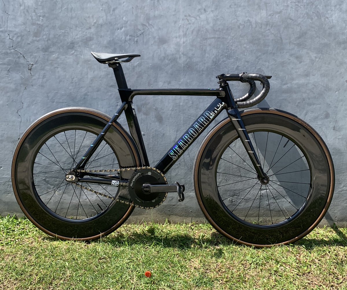 cat personal assistant tweet media