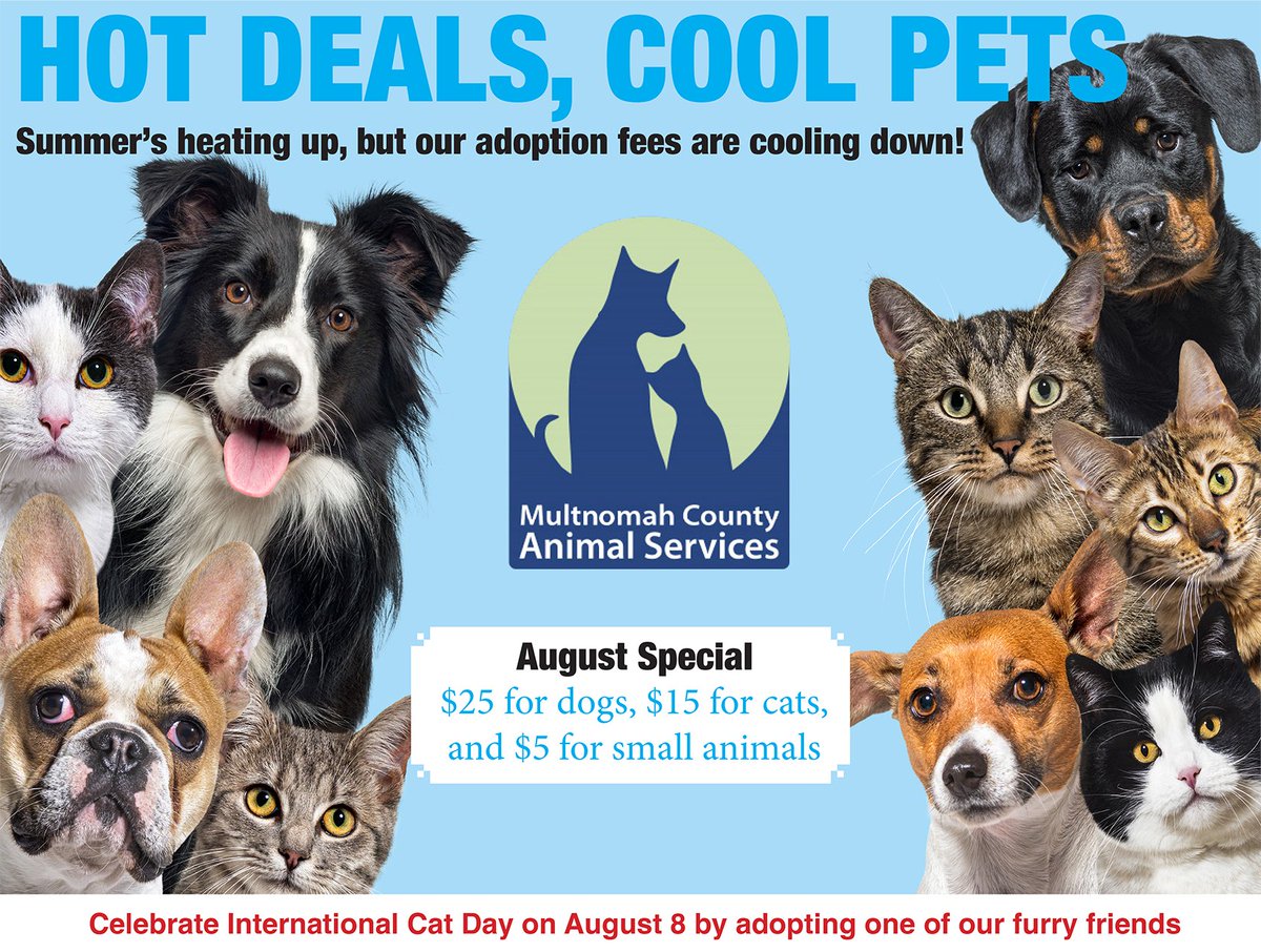 🌶️ Hot Deals, 🧊 Cool Pets Adoption Special - Summer's heating up, but our adoption fees and pets are as cool as can be!

Adoption Fees:
🐶 Dogs &amp; Puppies: $25
🐱 Cats &amp; Kittens: $15
🐰 Rabbits &amp; Pocket Pets: $5
🏅 License fees and commitments apply

multcopets.org/news/august-ad…