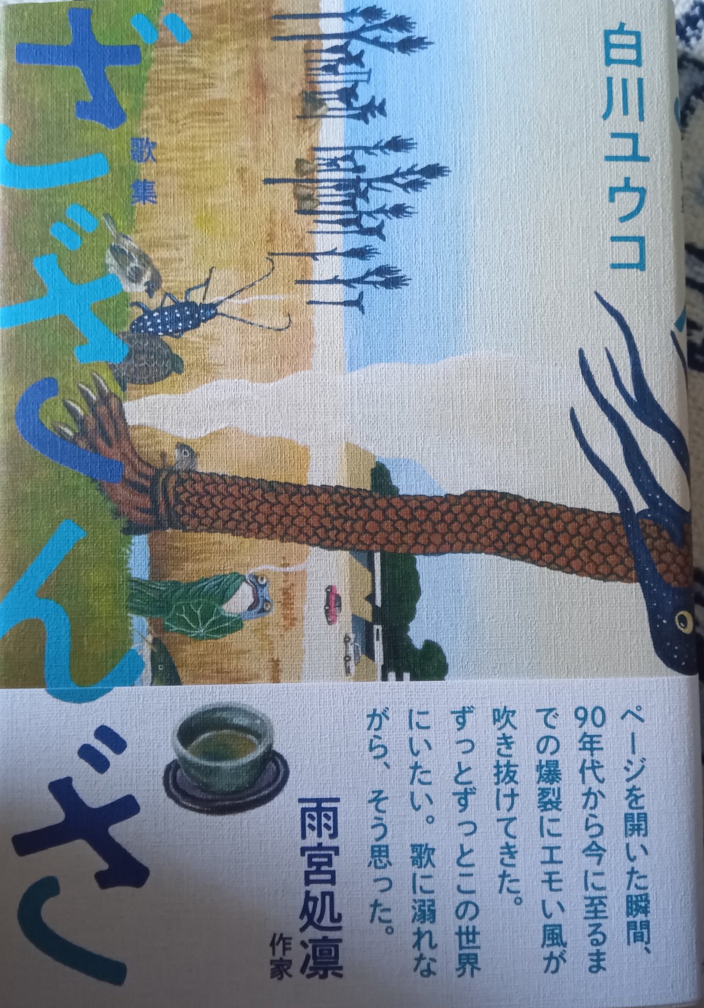 優良中古 歌集/KADOKAWA/林口僥子（単行本） 集英社