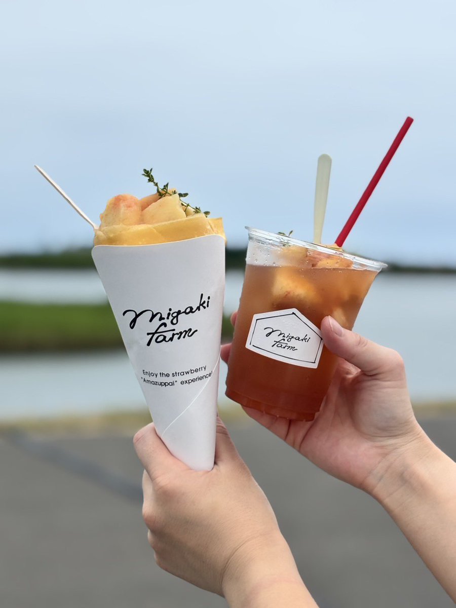 migakifarm's tweet photo. 【🎉本日、桃、解禁。記念キャンペーン開催！🍑】
おはようございます！ミガキファームです！
ついに本日から、閖上店限定「夏の白桃クレープ」が販売スタート！
そして、この夏の新作デビューを記念して…
この投稿をRTしてくれた方の中から、抽選で5名様に**「選べるいちごクレープ無料クーポン」**をプレゼントします！
【応募方法】
① このアカウント（@migakifarm）をフォロー
② この投稿をリツイート
【応募期間】
本日～8月8日(金) 23:59まで
※当選者様にはDMでご連絡します。賞品は「いちごジャムバター」か「生いちごホイップ」のどちらかを選べます✨
この夏も、ミガキファームをお楽しみください！
たくさんのご応募、お待ちしてます！
#ミガキファーム
#プレゼントキャンペーン
#RTキャンペーン
#桃のクレープ #桃活
#いちごクレープ
#閖上 #かわまちてらす閖上
#本日発売