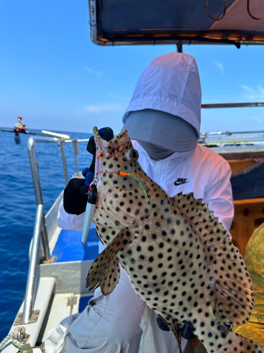🎣今日の「戦利品」は大当たり！
海からの贈り物は、待つ価値がある✨
🌊毎回大漁とはいかないけれど、
その一回一回が忘れられない思い出になる。
⚓海の魅力は、体験してこそわかるものだね😊