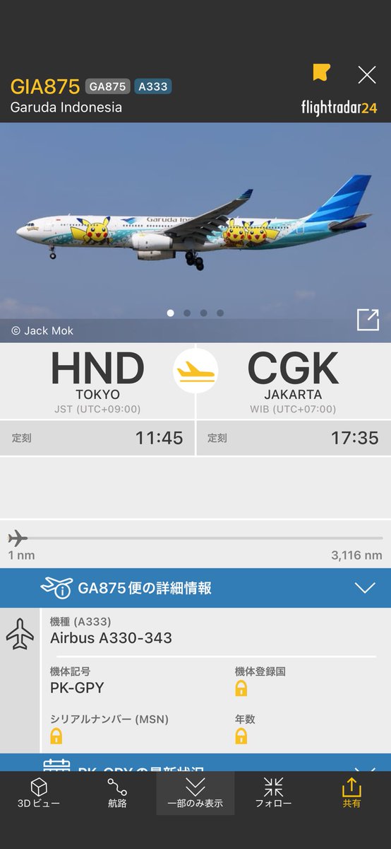 便名 GA875 Tokyo発 Jakarta行き
fr24.com/GIA875/3b853101

ピカチュウジェットGA撮りたかったなぁ