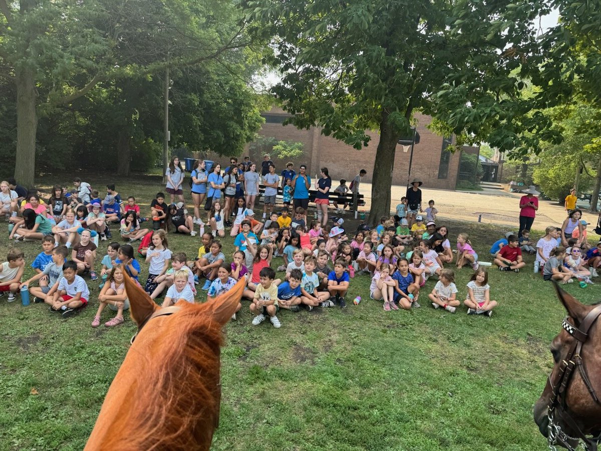 ChicagoMountedUnit tweet media