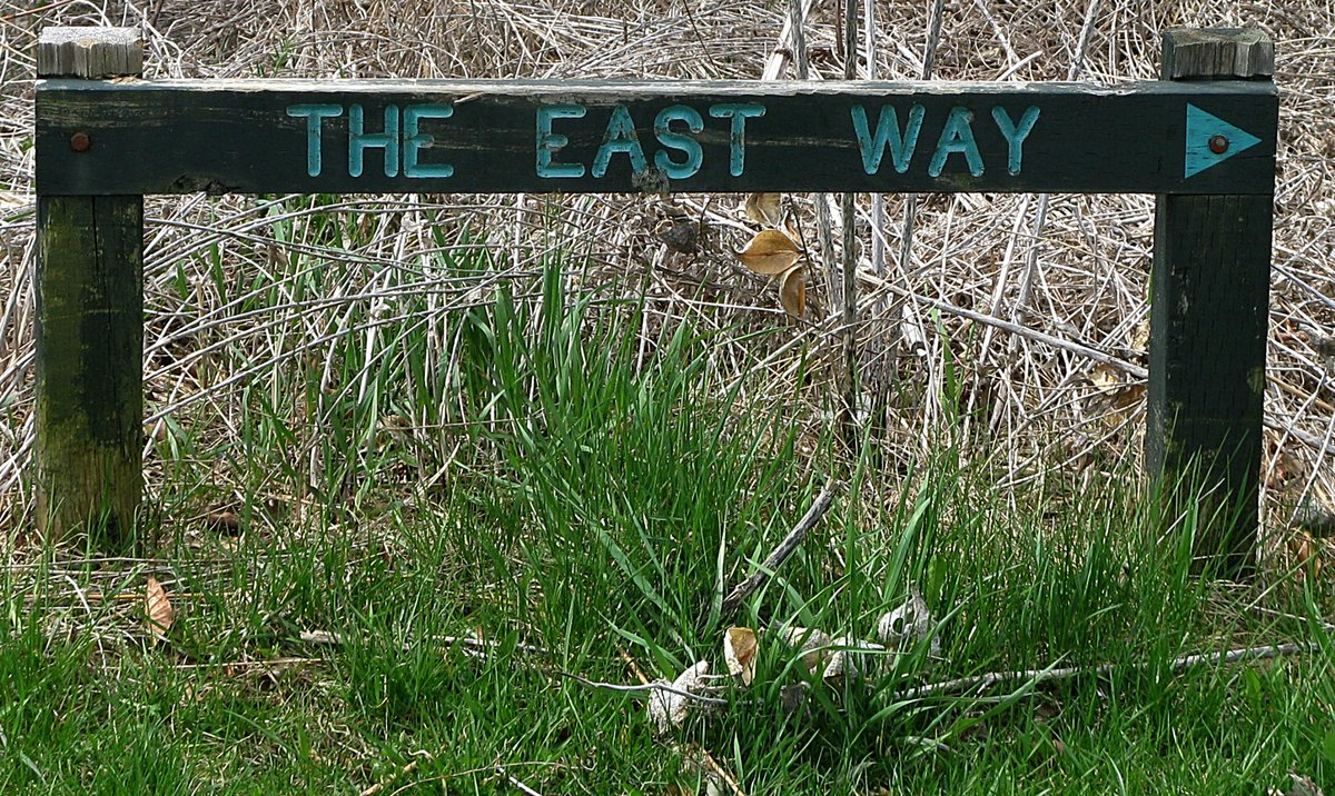 #WeekEforEasyE
This could work ... .. .