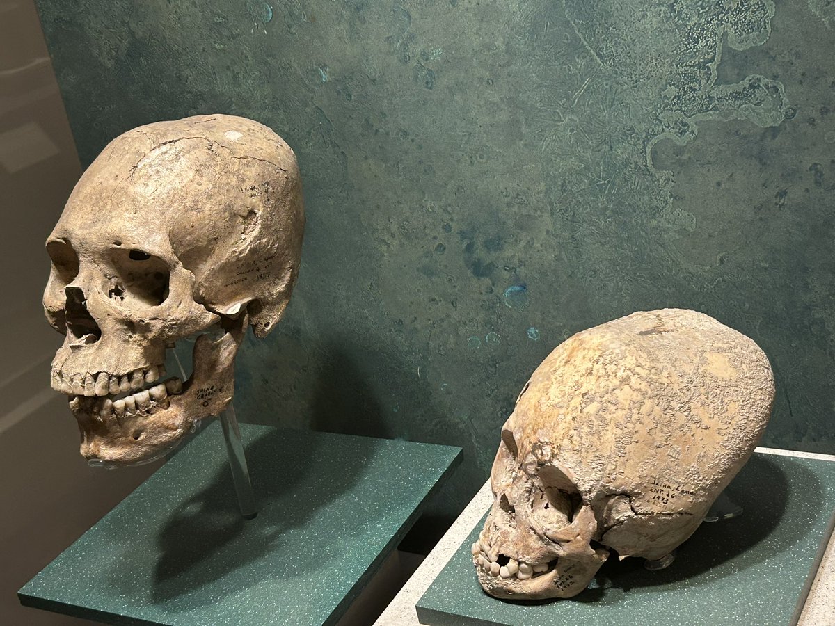 andress25's tweet photo. @TheFlatEartherr Indigenous Americans also wanted longer skulls. Why? https://t.co/uLMtpB08U4