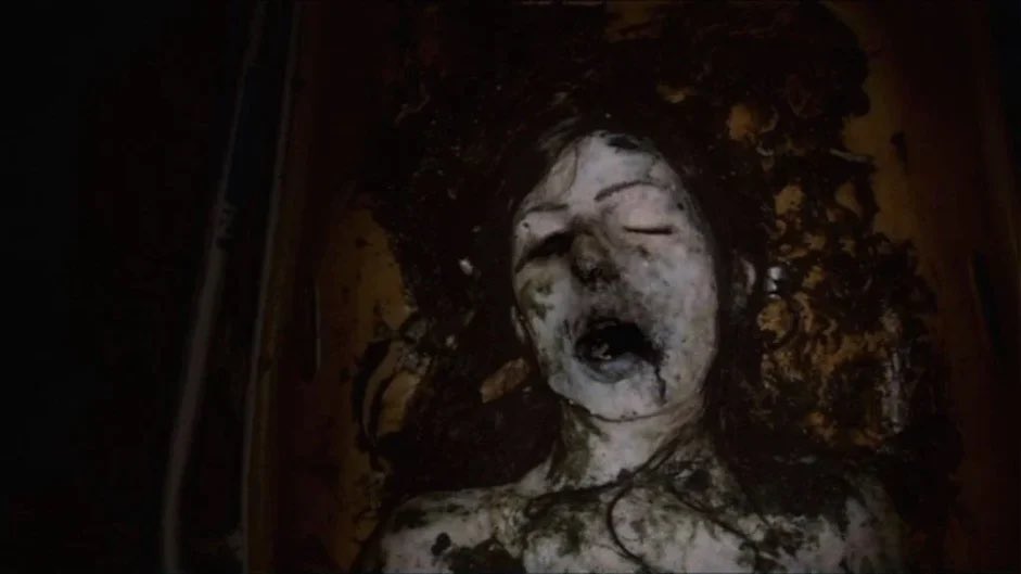 flyinalienqueen's tweet photo. This week’s Thursday double feature is #FinalSummer and #LakeMungo (shoutout to @PoorOldRoloTony for that one)! https://t.co/oogSLTiSPo