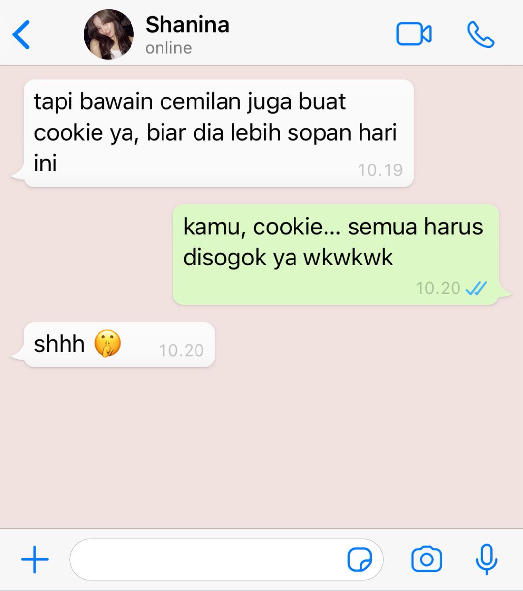 nueveclouds's tweet image. #butter_cookie | her cat acts like me 

a satzu mini series au