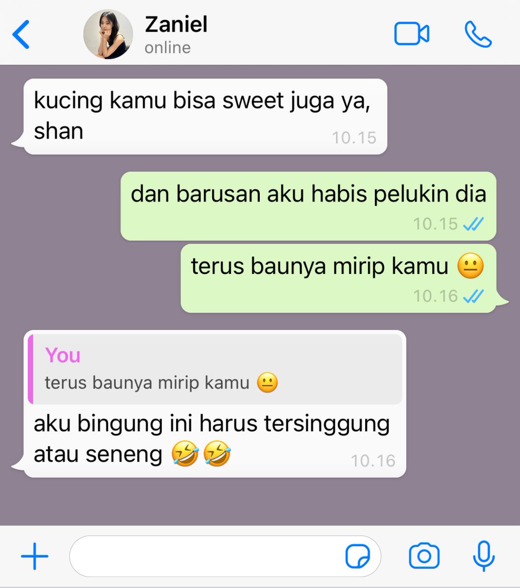 nueveclouds's tweet image. #butter_cookie | her cat acts like me 

a satzu mini series au