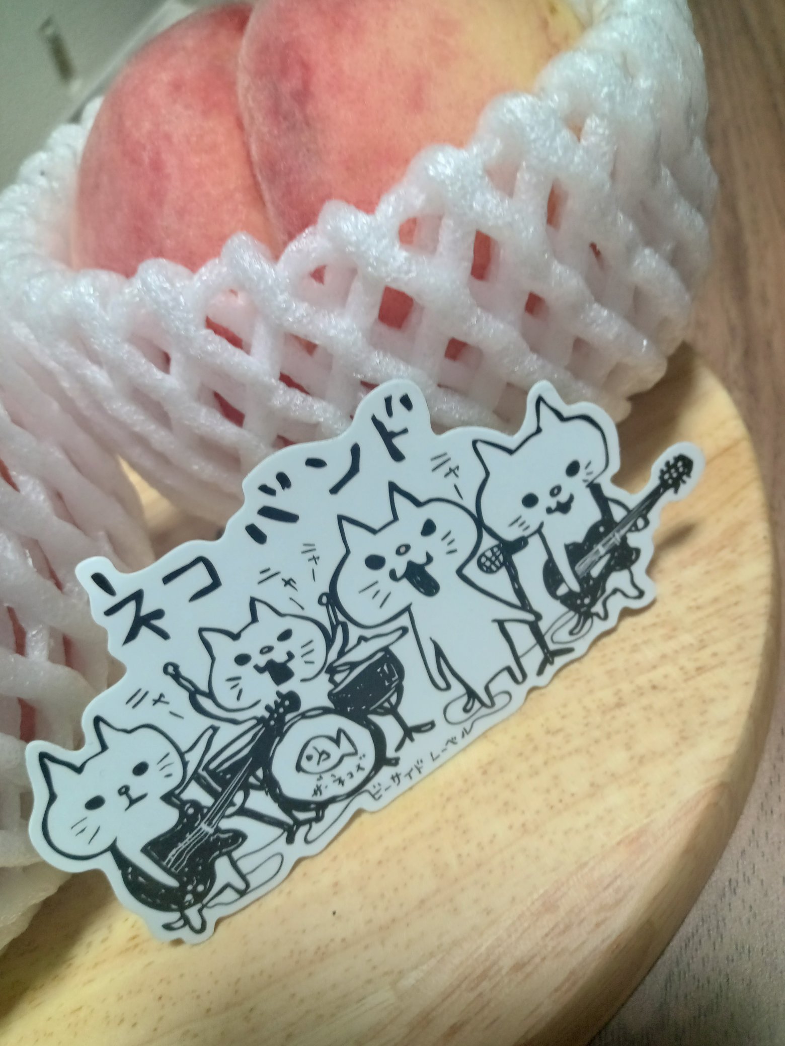 ♡にゃんこ♡ concours d'Elegance/OWNER'S PIT COOL