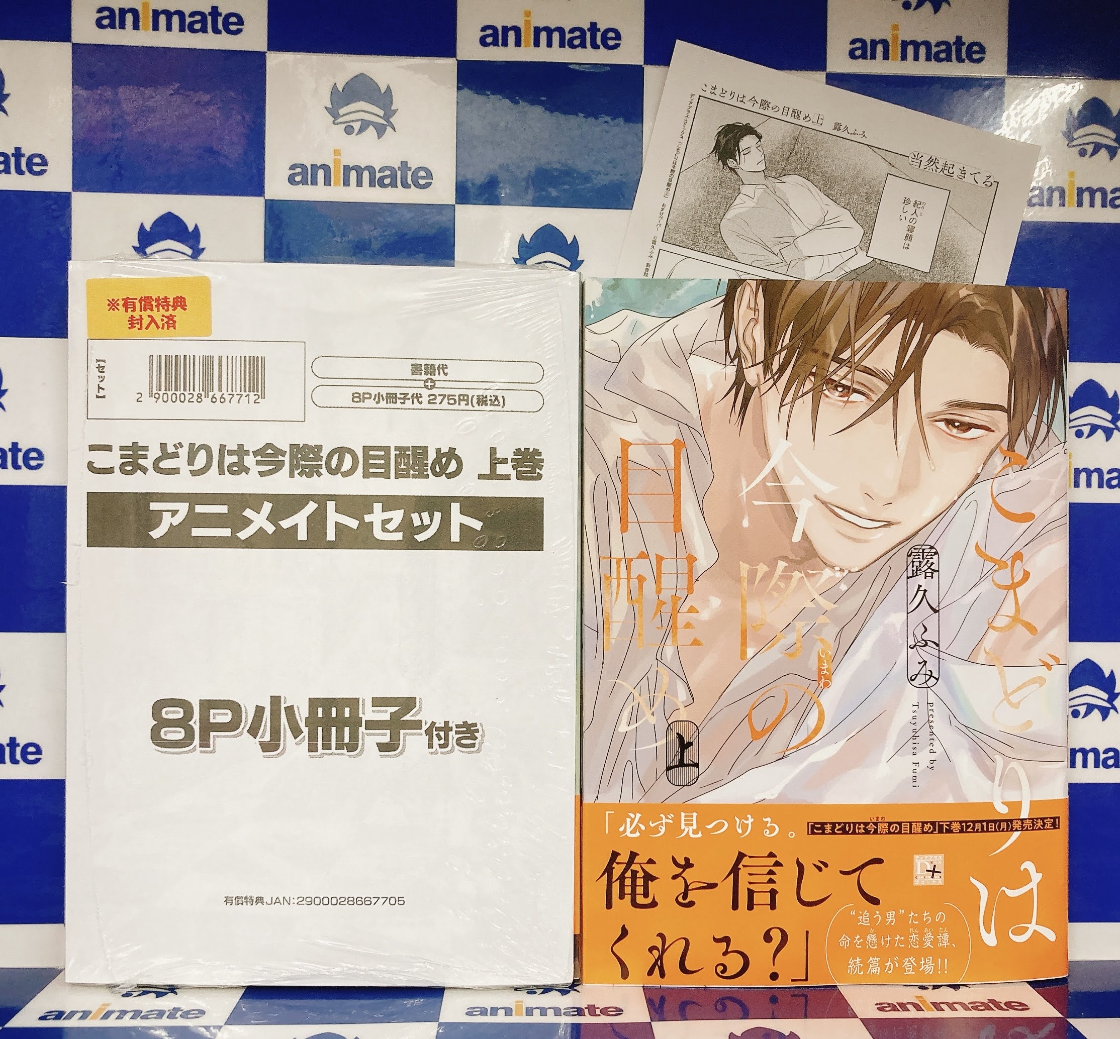 BL 新刊 11冊セット アニメイト福島 on X: 