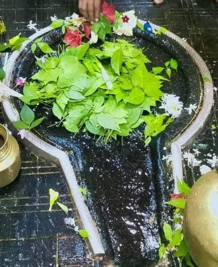 🚩🚩।। हर हर महादेव।।🚩🚩
बाबा बैद्यनाथ की कृपा दृष्टि सदैव आप सबों पर बनी रहे एवं देवाधिदेव महादेव आपको सुख,समृद्धि और आरोग्य जीवन प्रदान करें।
  ।।आपका दिन मंगलमय हो ।।