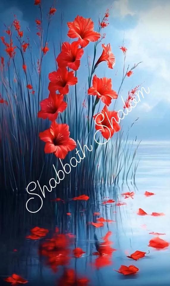 Nice week-end 🌺💐🌹🌷🌼🌻🌷🌺💐🌹