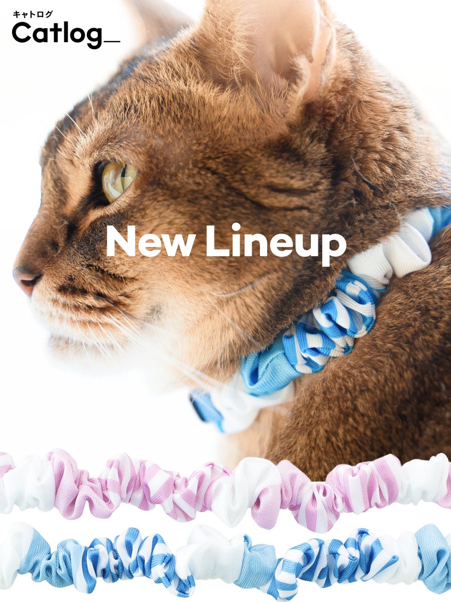 Catlog（キャトログ） (@Catlog_RABO) / X