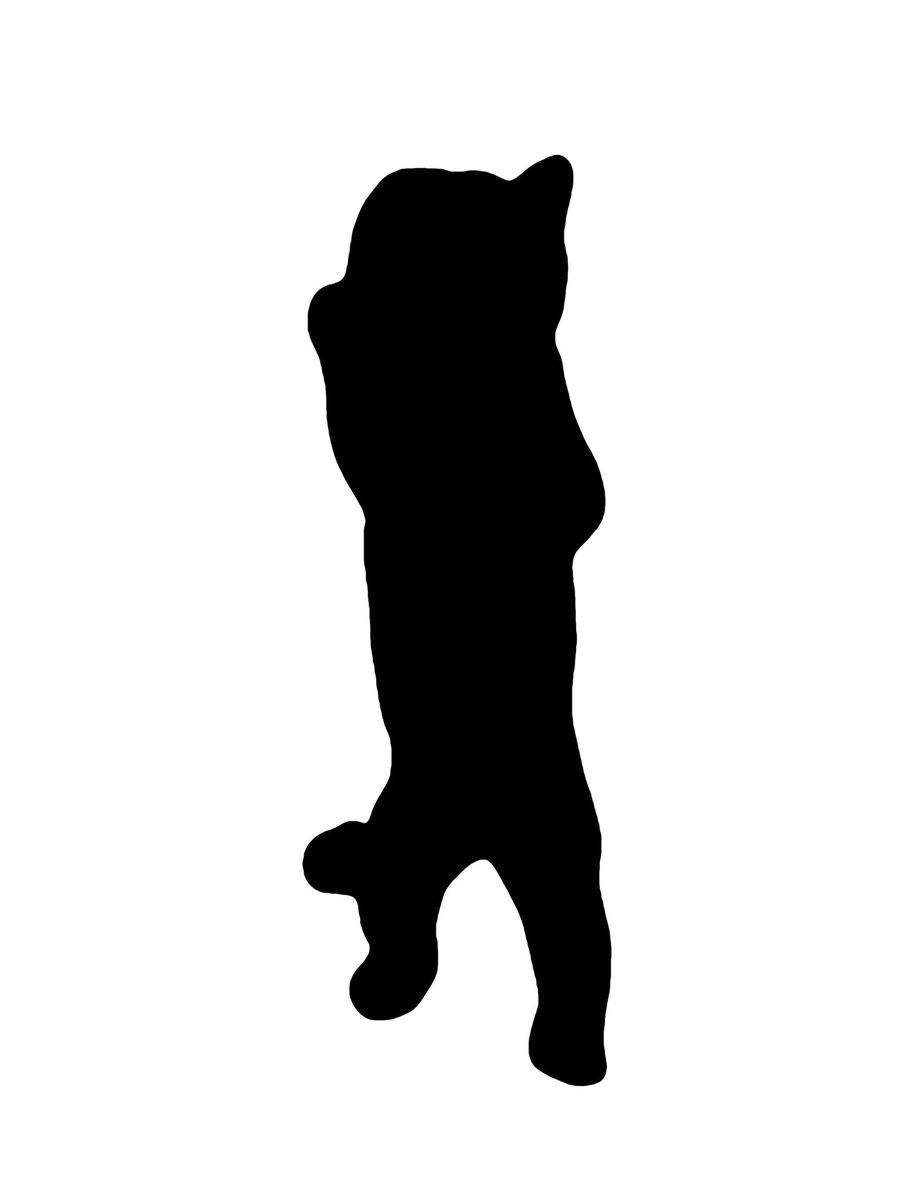 nishiyama_zoo's tweet photo. 突然ですが、レッサーパンダの
シルエットクイズ

この子は誰でしょう？

すべて同じ子です。

夕方にヒント出します。

#鯖江市西山動物園
#レッサーパンダ
#シルエットクイズ https://t.co/gdTaan1R67