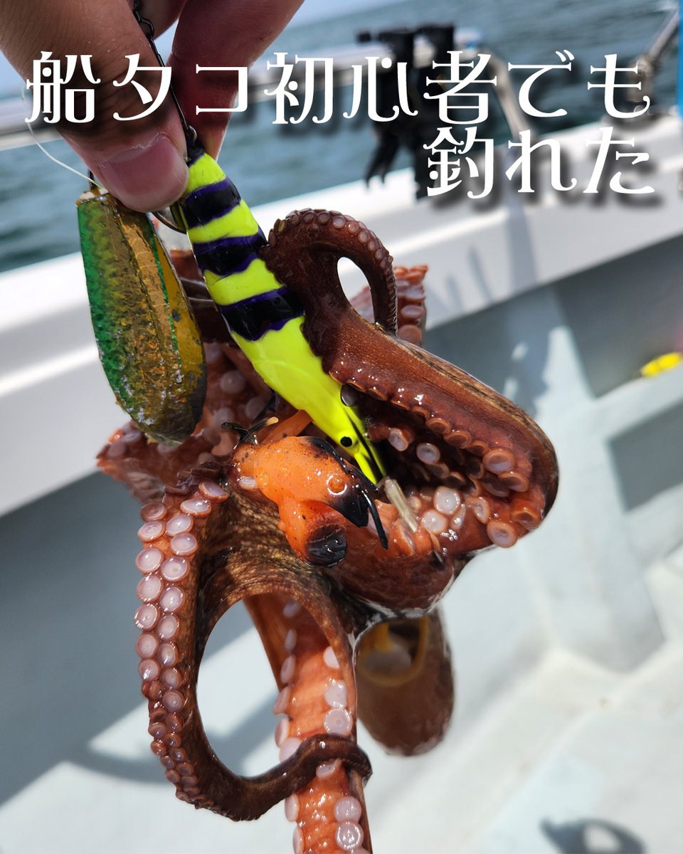GONZO＠（hayaken) (@GONZOUDAIWA) / X