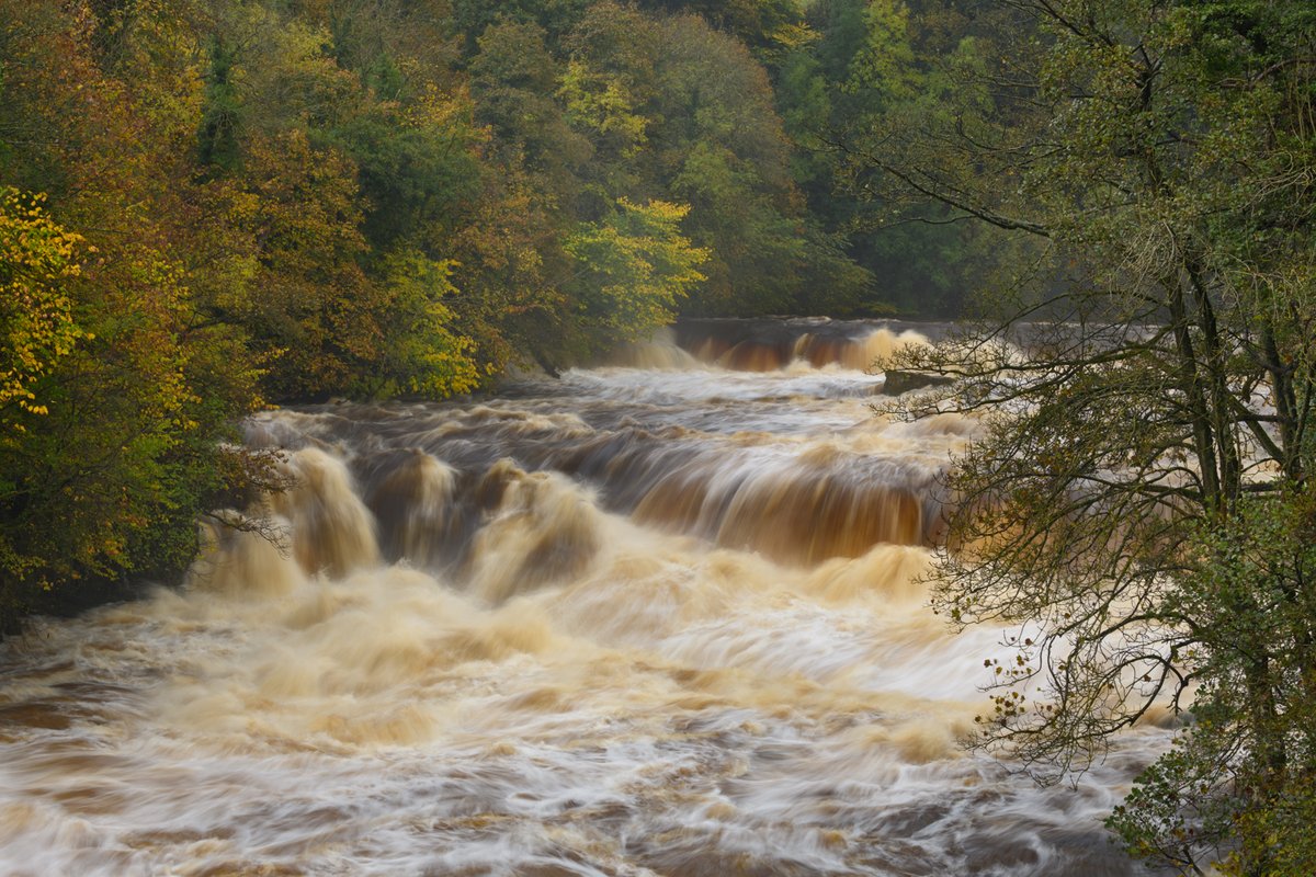 Yorkshire Dales National Park tweet media