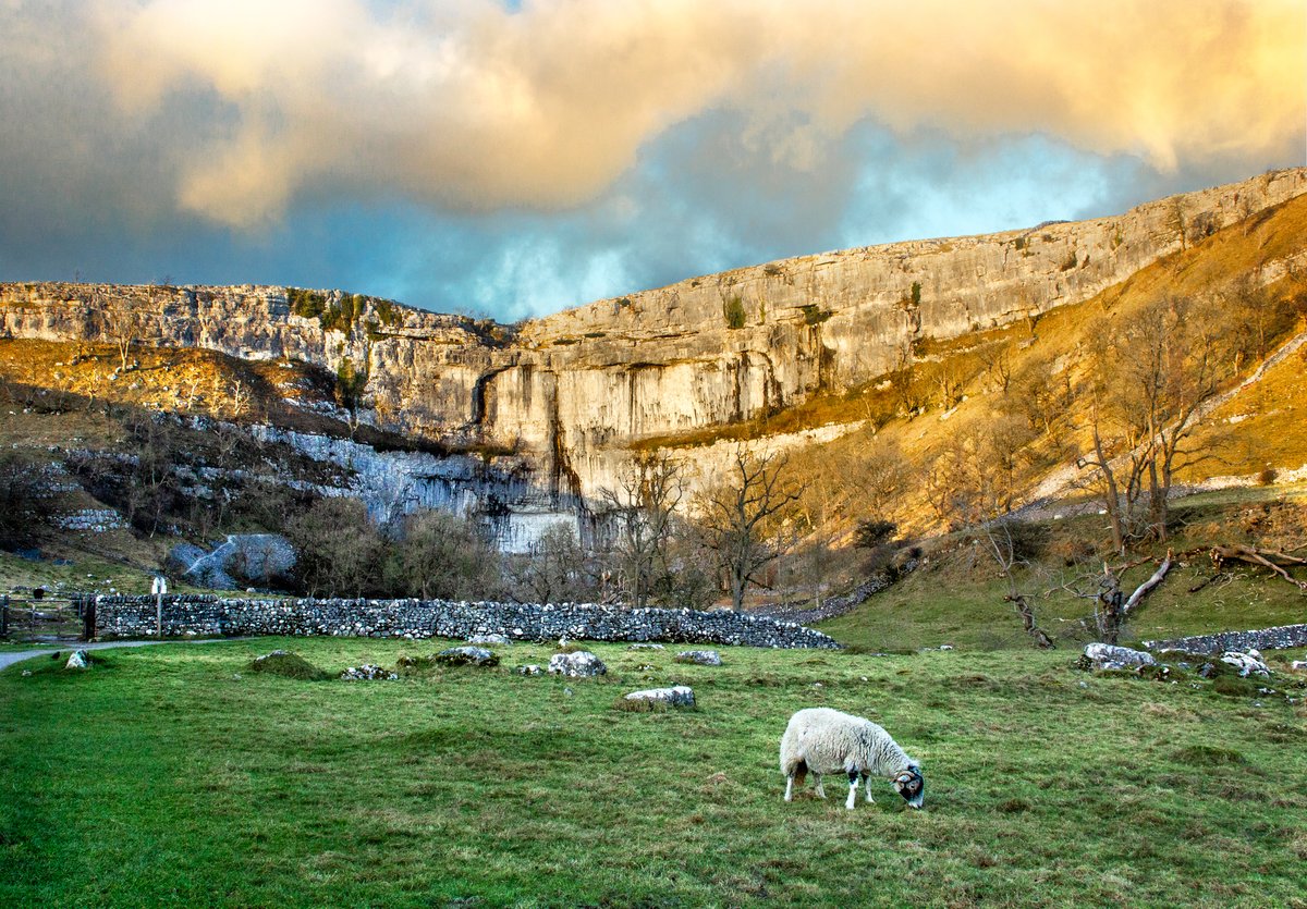 Yorkshire Dales National Park tweet media