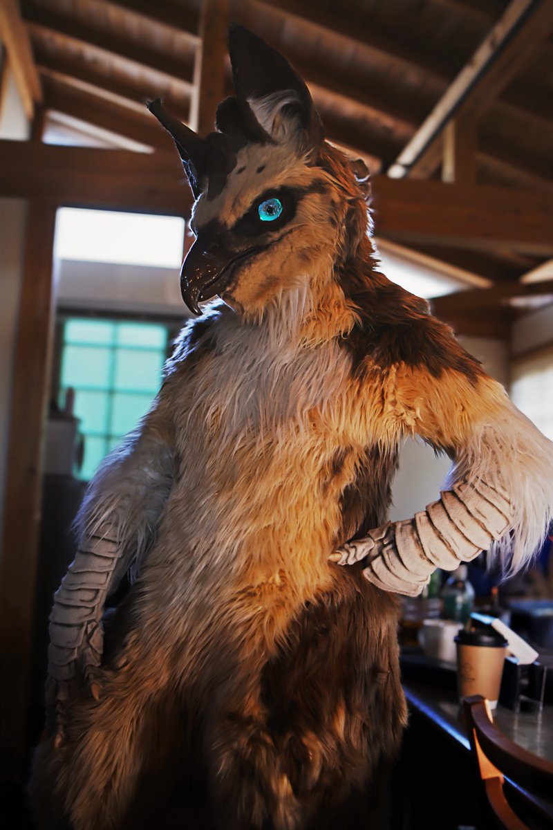 After Breakfast

#FursuitFriday 
📸<a href="/PastaCorvus/">Pasta</a> 
🖌️<a href="/oboro_bane/">朧羽 w/エクレイ</a>