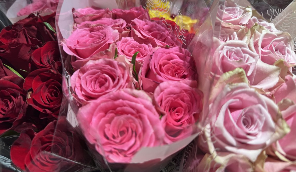 #ilahdutakukin ❤️