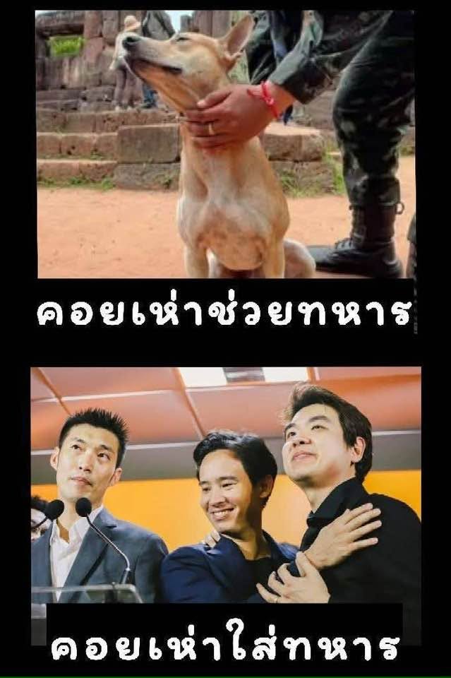 หมาดี
กับ
หมาอัปรีย์
