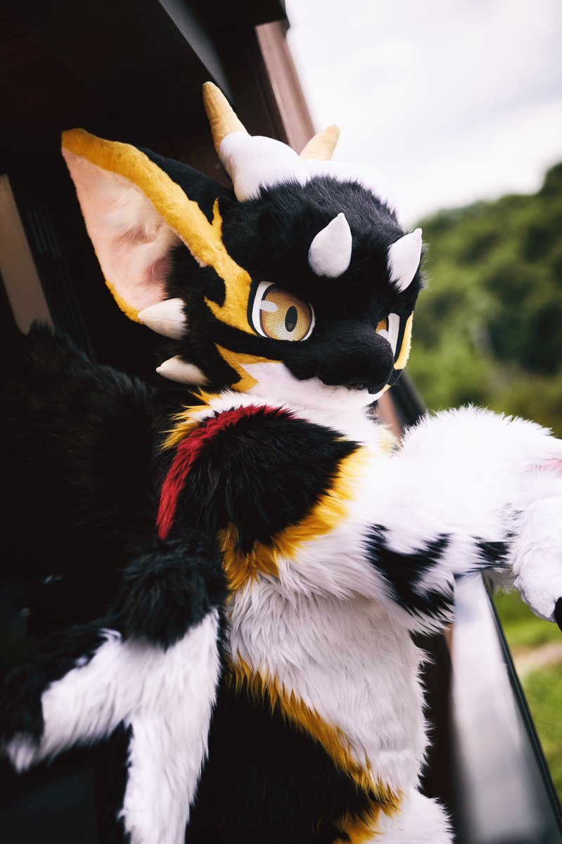 #FursuitFriday 

거기. 무슨 생각해? 고민이라도 있어?

📸@ guni1636