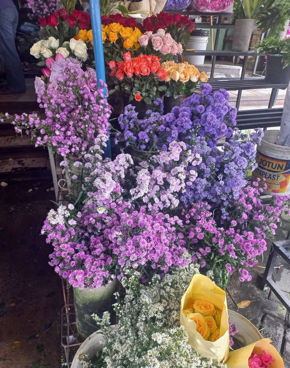 JOGJA FESS | KIRIM FESS CEK PINNED tweet media